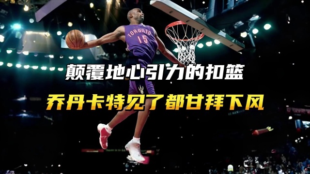 号种子组合